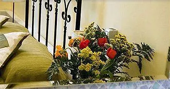 Guesthouse La Briosa Nicole Janov